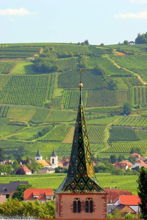 Hotel Berceau Du Vigneron Turckheim Dış mekan fotoğraf