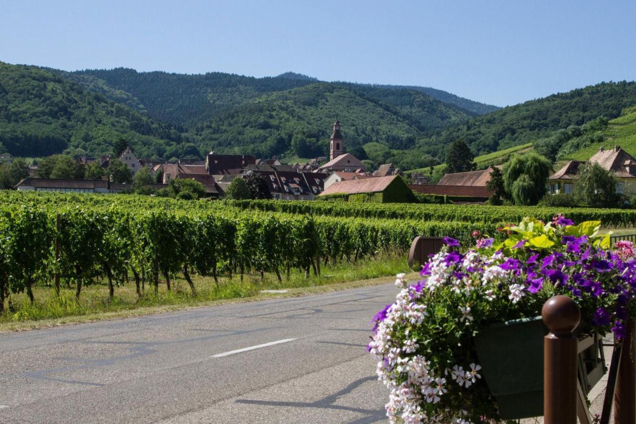 Hotel Berceau Du Vigneron Turckheim Dış mekan fotoğraf